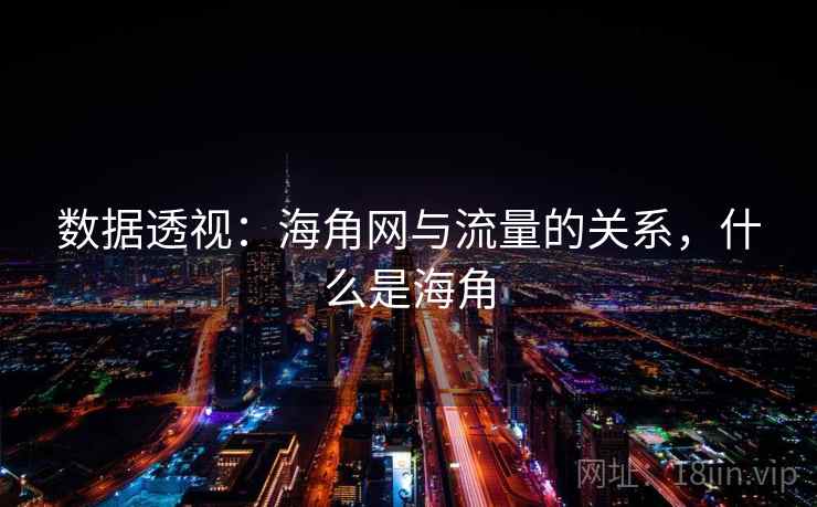 数据透视:海角网与流量的关系,什么是海角