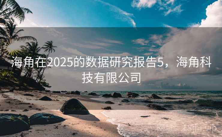 海角在2025的数据研究报告5,海角科技有限公司