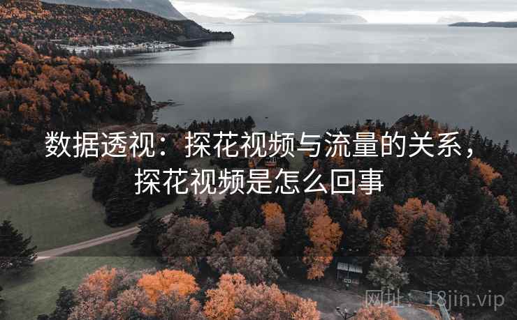 数据透视:探花视频与流量的关系,探花视频是怎么回事