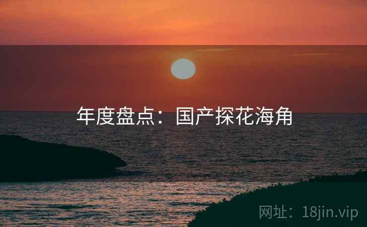 年度盘点:国产探花海角