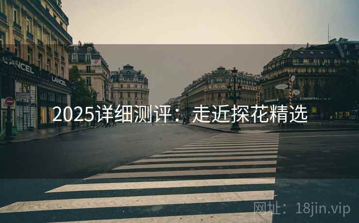 2025详细测评:走近探花精选