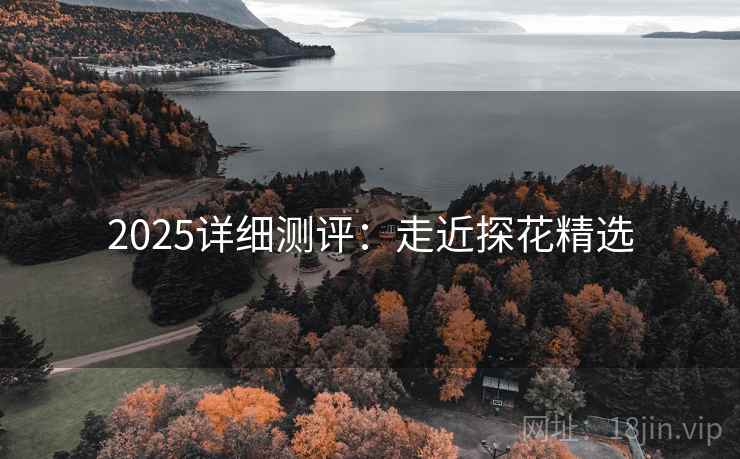 2025详细测评:走近探花精选