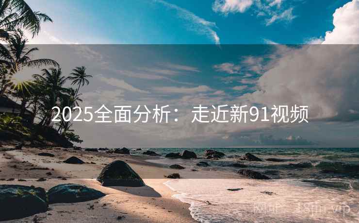 2025全面分析：走近新91视频