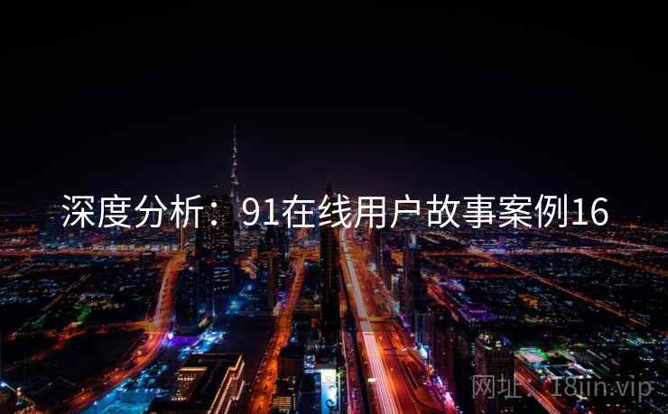 深度分析:91在线用户故事案例16