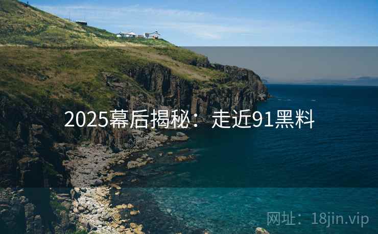2025幕后揭秘:走近91黑料