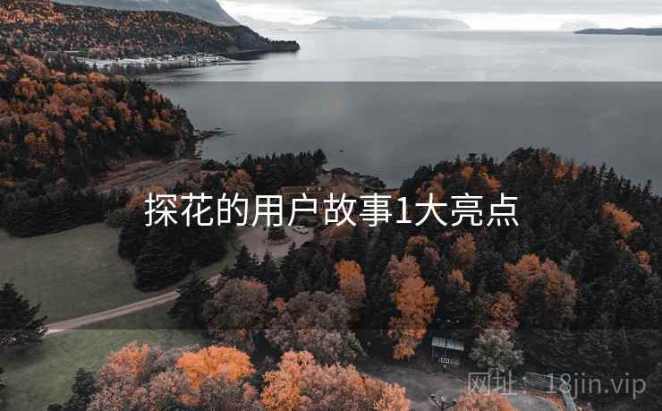 探花的用户故事1大亮点