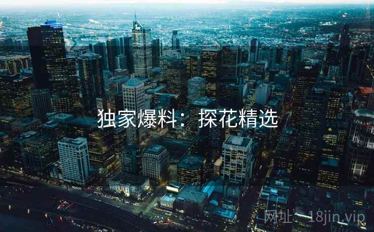 独家爆料:探花精选