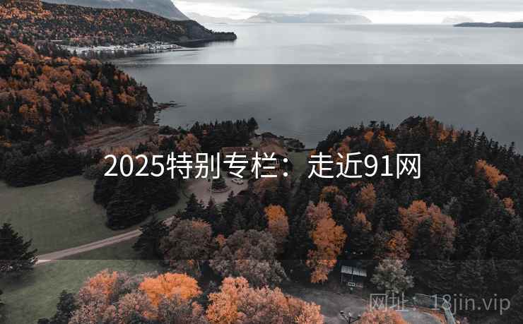 2025特别专栏:走近91网