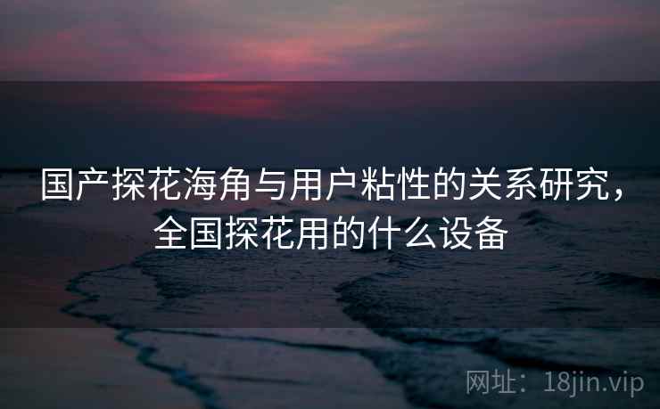 国产探花海角与用户粘性的关系研究,全国探花用的什么设备